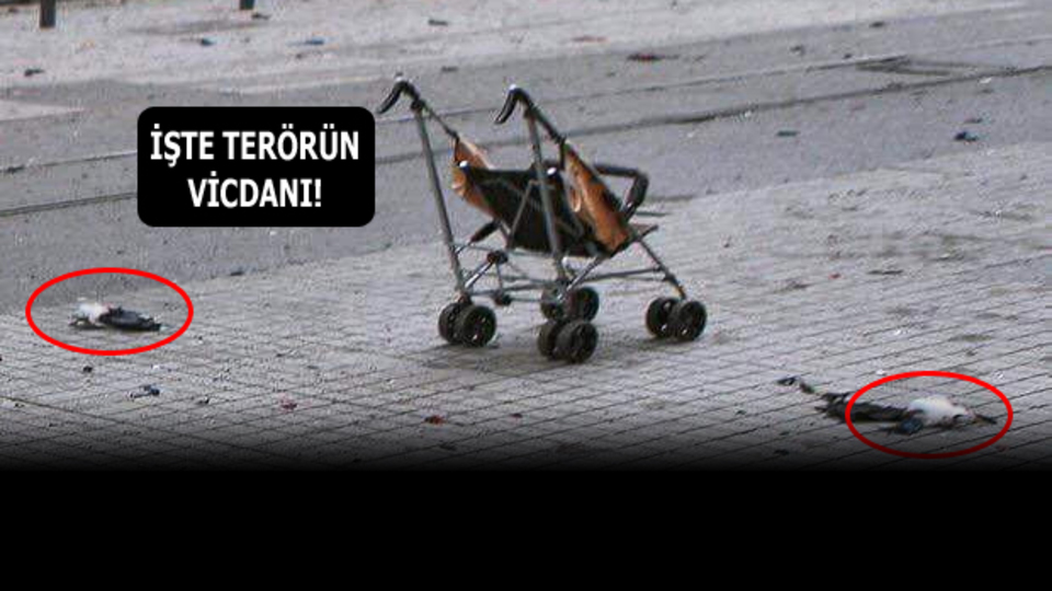 Bir bebek arabası, iki güvercin!