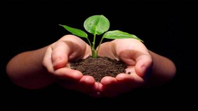 Orman Haftası ile ilgili şiirler