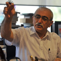 Bingür Sönmez: Tavuktan özür dileme zamanı geldi