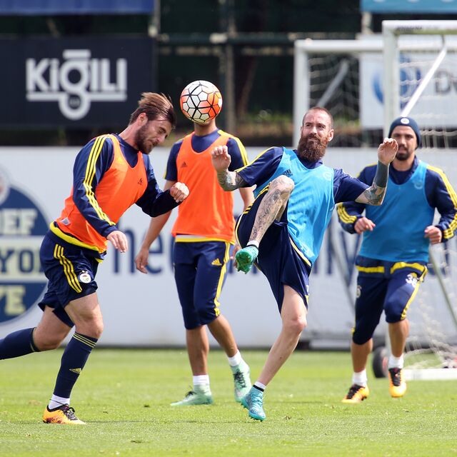Milli ara Meireles'e yaradı