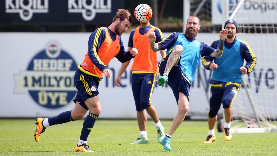 Milli ara Meireles'e yaradı