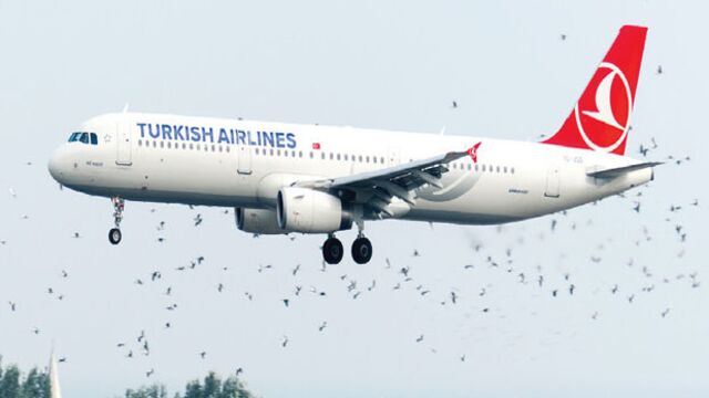 Leylekler göçe başladı havalimanı alarmda