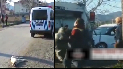 Yaralı köpeği çöp kamyonunda preslediler!