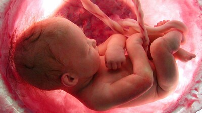 Kişilik ne zaman şekillenir?