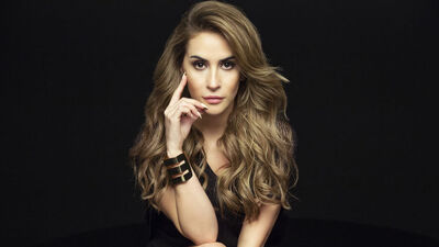 "Bu ülkede paran varsa sanatçısın"