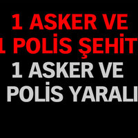 Nusaybin'den acı haber!