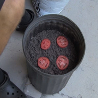 Plastik çatalı toprağa batırınca bakın ne oluyor?