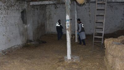 Samanlığa giren kadın gördüğü manzara karşısında...