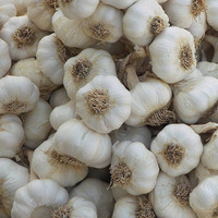 Bu besinler kanser riskini azaltıyor!