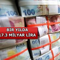 Tapu, trafik, pasaport...