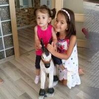 Asya bebekten müjdeli haber