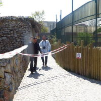 Hayvanat bahçesinde korkunç olay!