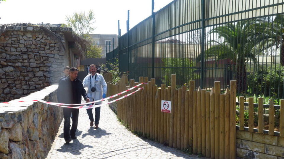 Hayvanat bahçesinde korkunç olay!