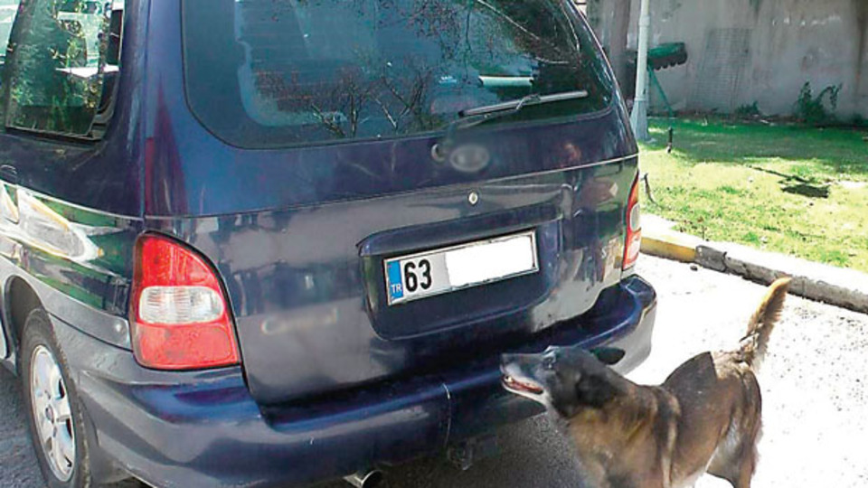 Bin 38 kilometrelik zehir kovalamacası