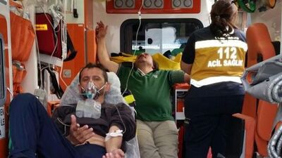 İzmir'de iki balıkçı balon balığından zehirlendi