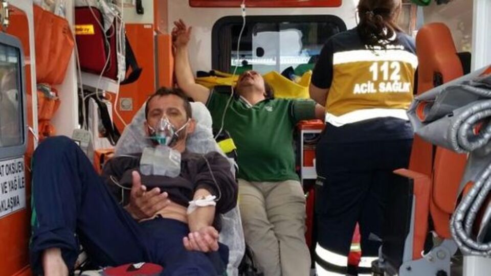 İzmir'de iki balıkçı balon balığından zehirlendi