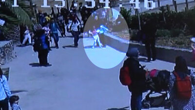 Darıca'da hayvanat bahçesindeki olayın görüntüleri çıktı!