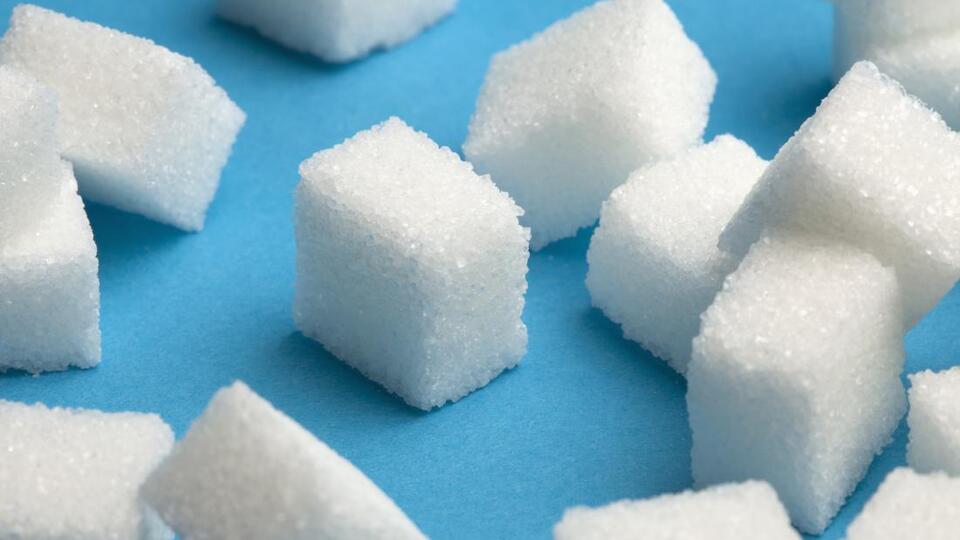 Her 11 kişiden biri...