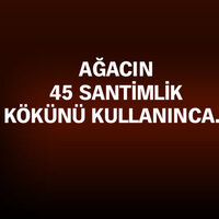 Neredeyse canından olacaktı!