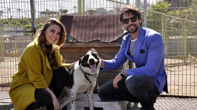 'Kış Güneşi'nden barınak ziyareti