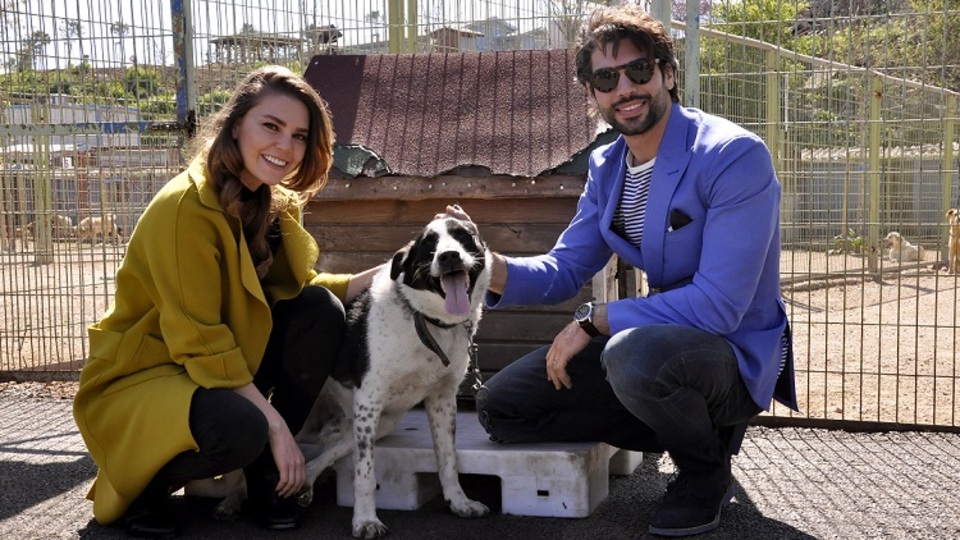 'Kış Güneşi'nden barınak ziyareti