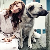 Ünlü isimlerin can dostları