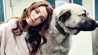 Ünlü isimlerin can dostları