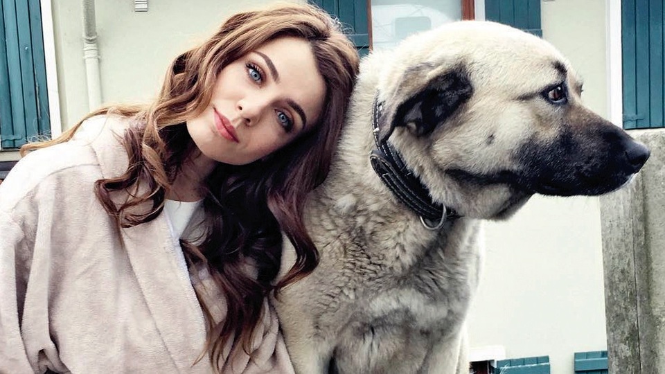 Ünlü isimlerin can dostları