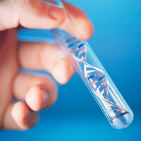 Dijital resimler DNA’ya yüklenebilecek