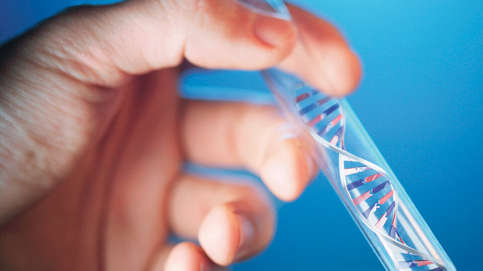 Dijital resimler DNA'ya yüklenebilecek