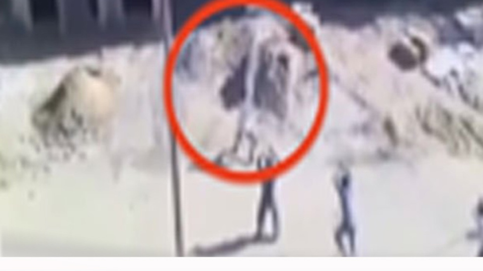 Leopar insanlara böyle saldırdı
