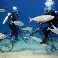 Deniz dibinde bisiklet turu