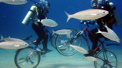 Deniz dibinde bisiklet turu