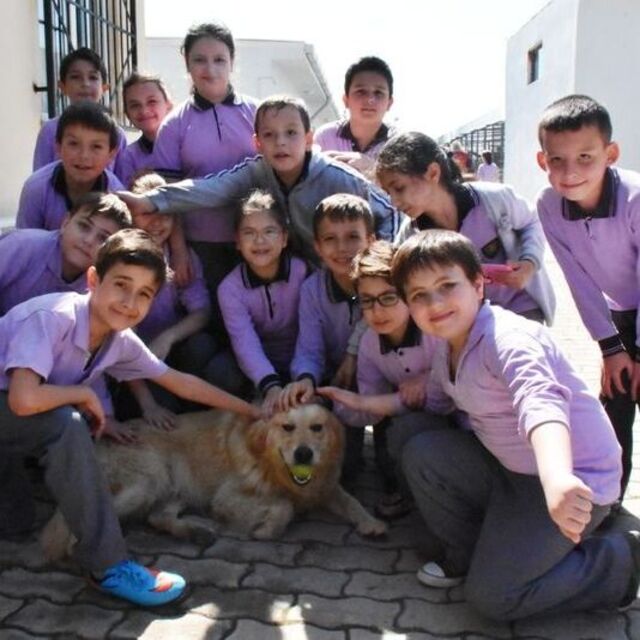 Miniklerden sokak hayvanlarına ziyaret