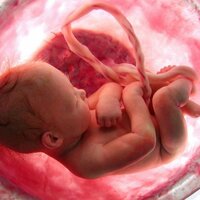 Anne rahminde omurilik ameliyatı!