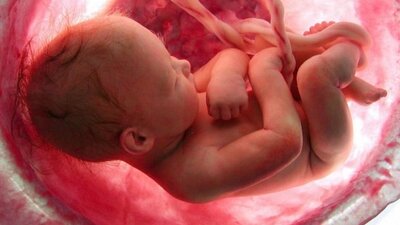 Anne rahminde omurilik ameliyatı!