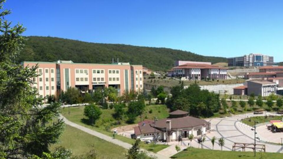 YÖK'ten ormancılık yüksekokulu kurulmasına onay