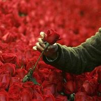 Kutlu Doğum Haftası ile ilgili şiirler!