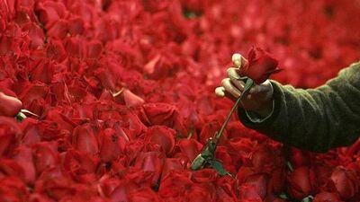 Kutlu Doğum Haftası ile ilgili şiirler!