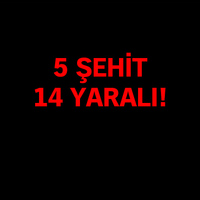 Mardin ve Şırnak'tan kara haber!