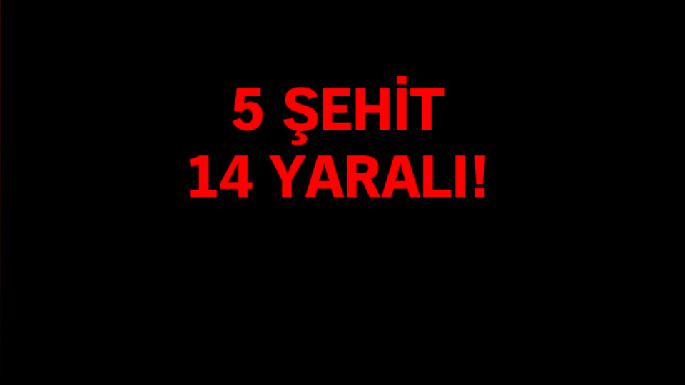 Mardin ve Şırnak'tan kara haber!