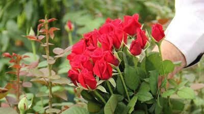 Kutlu Doğum Haftası ne zaman?