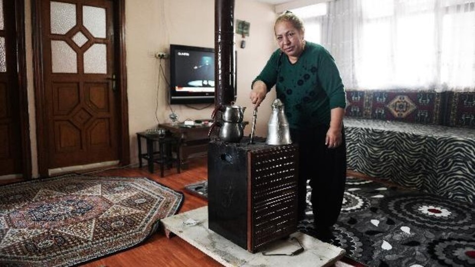 İşte Dilber Ay'ın mal varlığı