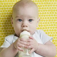 Hangi ayda ne yemeli?