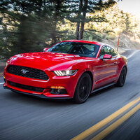 Kışkırtıcı eğlence