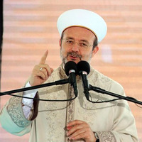 ABD'ye "sivrisinek" sitemi!