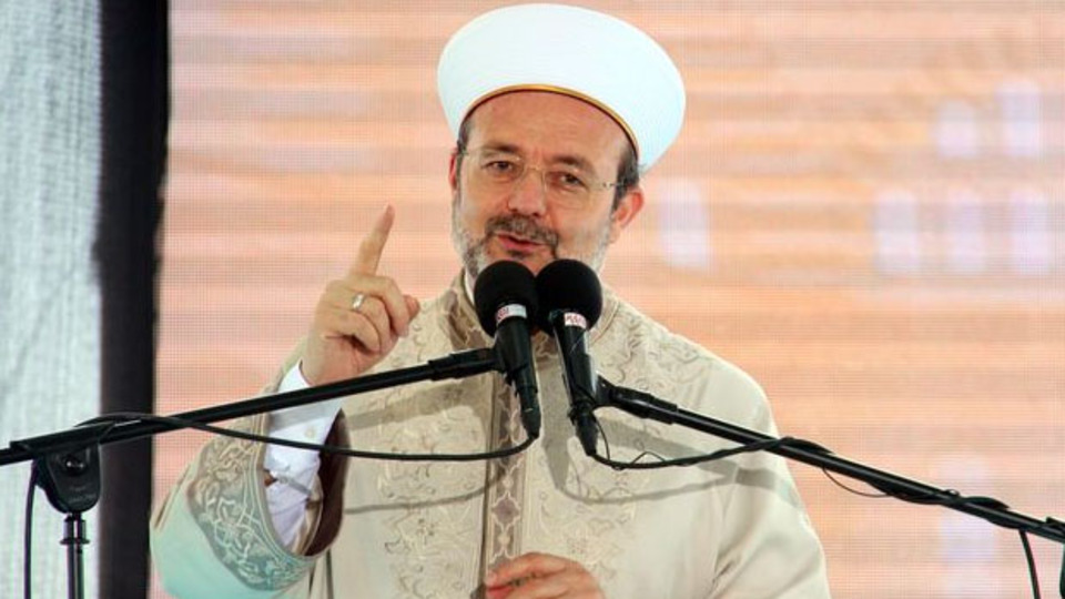 ABD'ye "sivrisinek" sitemi!