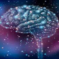 Sessiz ve sakin bir hayat düşünüyorsanız bunu unutun!