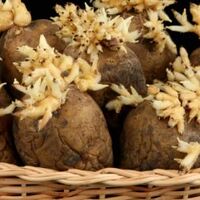 Etin rengine bakın, eğer koyu renkteyse...