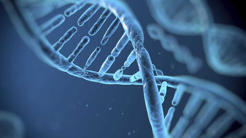 Bekaret geni bulundu!